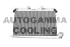 AUTOGAMMA 105768 Intercooler, charger